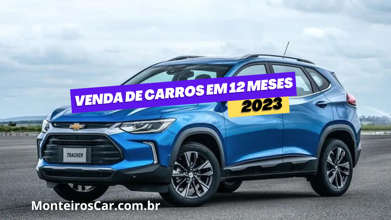 venda_de_carros_12_meses