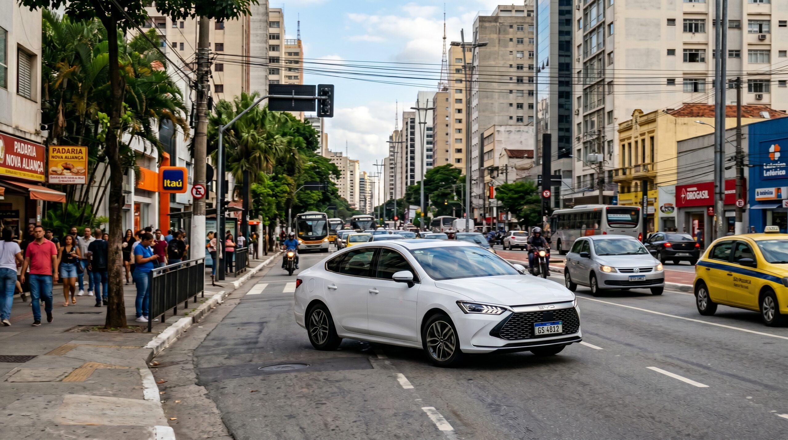 byd king
